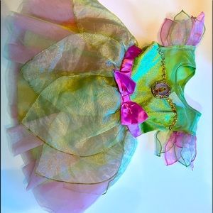 Tinkerbell Disney costume
